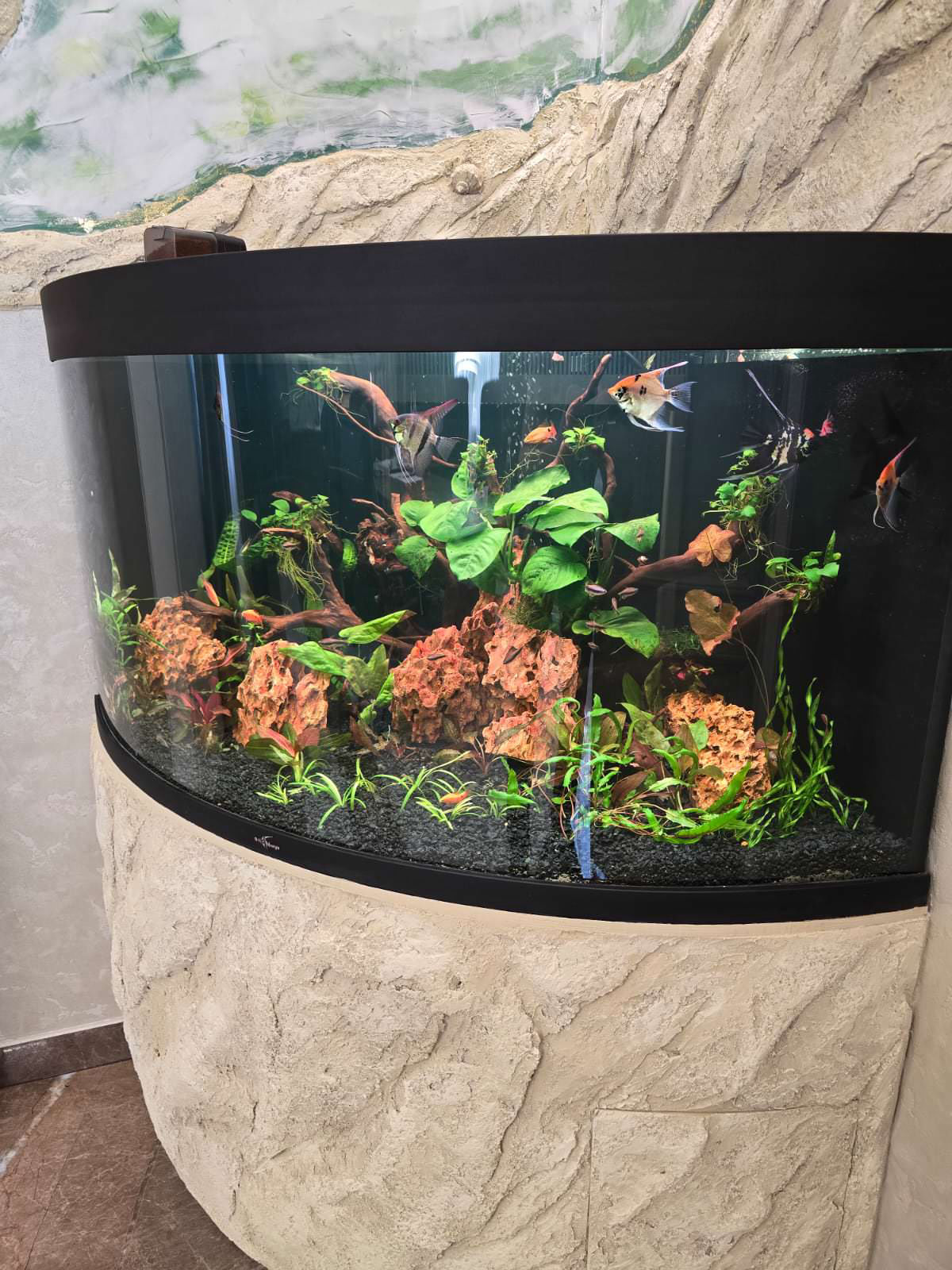 Аквариумы морские и пресноводные